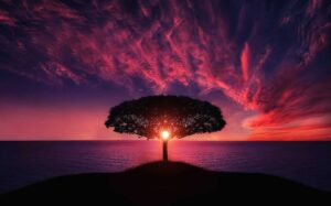 lebensbaum Bedeutung und Symbolik